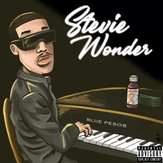 Stevie Wonder by Blue Pesos