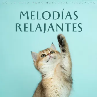 Melodías Relajantes: Ruido Rosa Para Mascotas Relajadas by Hipnagógicos Ruido Rosado