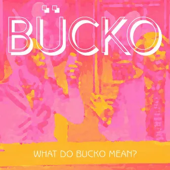 What Do Bucko Mean? by Bucko