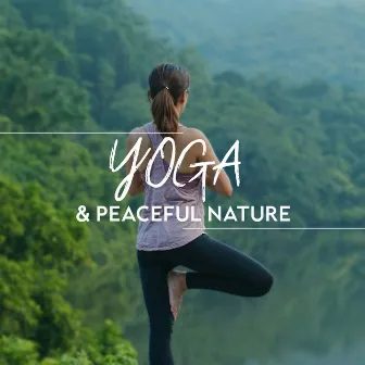 Yoga & Peaceful Nature: Peaceful New Age Melodies for Contemplation and Mindfulness by Relaxing Musical Universe