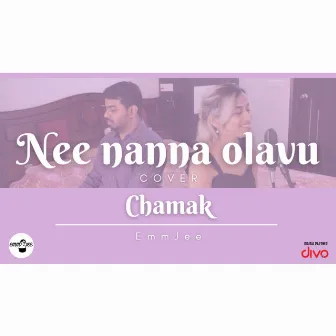 Nee Nanna Olavu (Cover) by Vivek Praveen