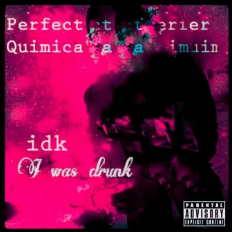 idk I was drunk by Perfect Quimica