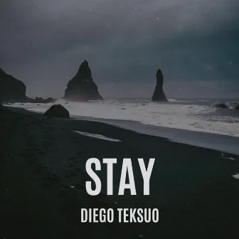 Stay by Diego Teksuo