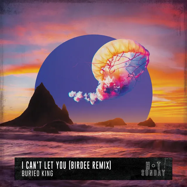 I Can't Let You - Birdee Remix