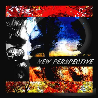 New Perspective by David Allen Slater