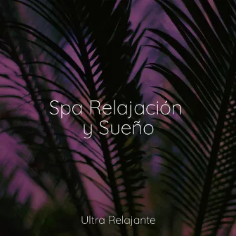 Spa Relajación y Sueño by Musica Meditaction