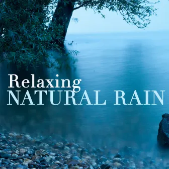 Relaxing Natural Rain by Sleep Sounds of Nature