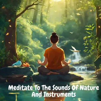 Meditate To The Sounds Of Nature And Instruments by Unknown Artist