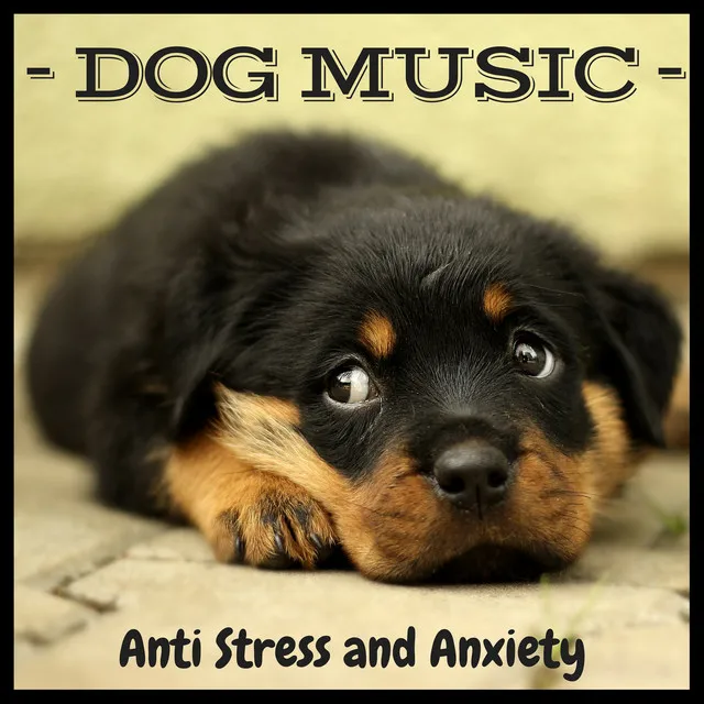 Dog Music – Calm Background Music for Sleeping, Rest, Relaxing Piano Instrumental, Anti Stress and Anxiety