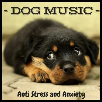 Dog Music – Calm Background Music for Sleeping, Rest, Relaxing Piano Instrumental, Anti Stress and Anxiety by Dog’s Music