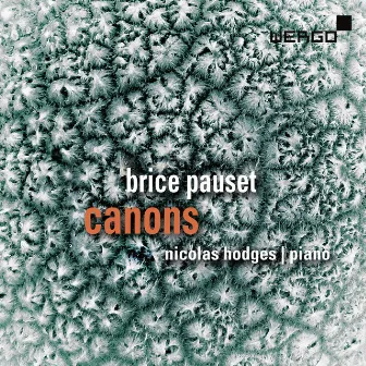 Pauset: Canons by Brice Pauset