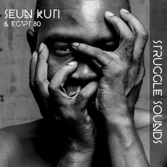 Struggle Sounds by Seun Kuti