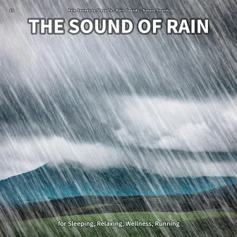 #1 The Sound of Rain for Sleeping, Relaxing, Wellness, Running by Unknown Artist