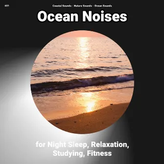 #01 Ocean Noises for Night Sleep, Relaxation, Studying, Fitness by Coastal Sounds