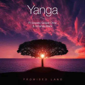 Promised Land by Yanga