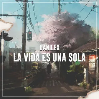 La Vida es una Sola by Danilex