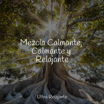 Mezcla Calmante, Calmante y Relajante by Dormir e Meditar