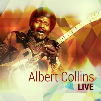 Live by Albert Collins