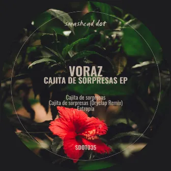 Cajita De Sorpresas by Voraz