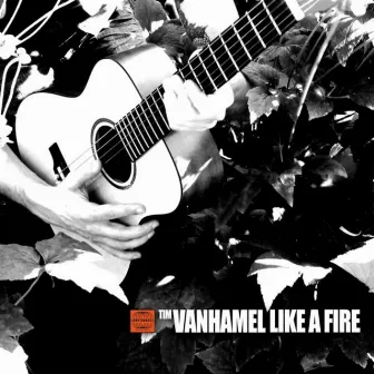 Like A Fire by Tim Vanhamel