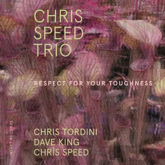 Respect for Your Toughness by Chris Speed Trio