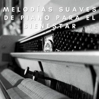 Reflexiones Del Spa: Melodías Suaves De Piano Para El Bienestar by Expertas en música zen spa