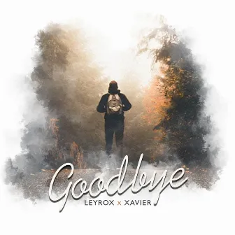 Goodbye by Xavier KR