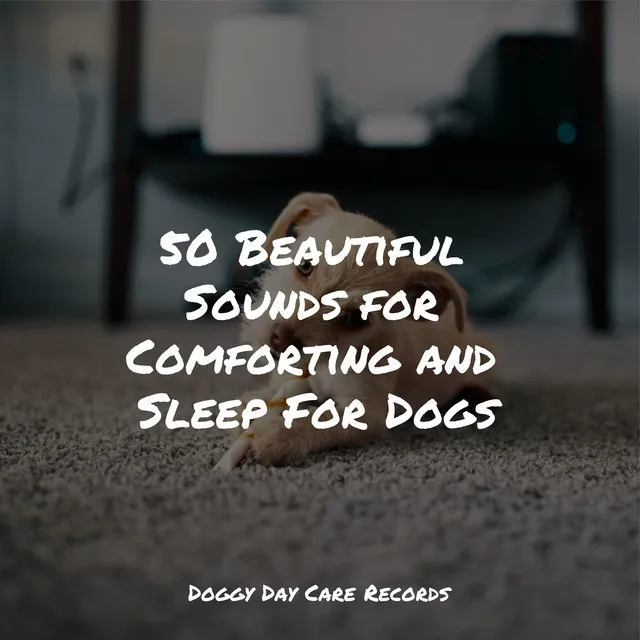 50 Beautiful Sounds for Comforting and Sleep For Dogs