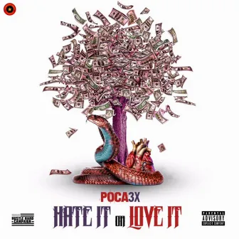 Hate It or Love It by Poca3x