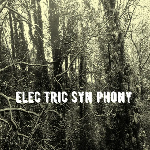 Elec Tric Syn Phony