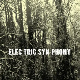 Elec Tric Syn Phony by Nick Treble