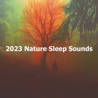 2023 Nature Sleep Sounds by Night Nature Sounds