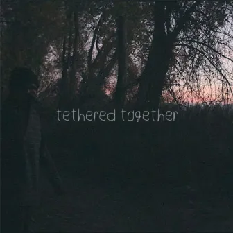 Tethered Together by Nightly Gatherings