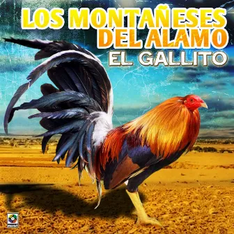 El Gallito by Los Montaneses Del Alamo