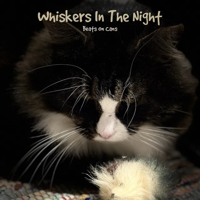 Whiskers in the Night