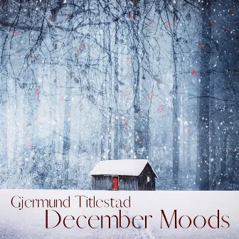 December Moods by Gjermund Titlestad