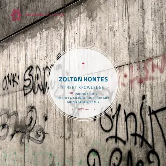 Street Knowledge by Zoltan Kontes