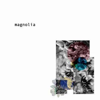 Magnolia by Magnolia Nojutsu