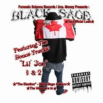 The Official Leak by Black Sage