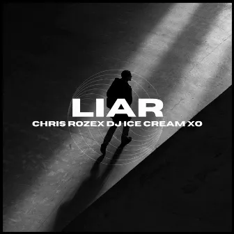 Liar by Chris Rozex