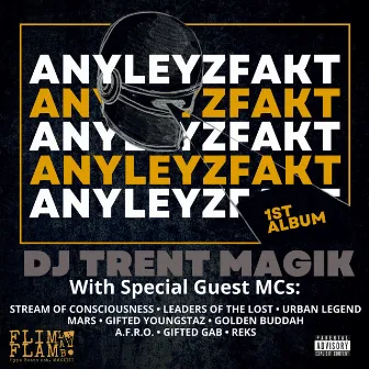 ANYLEYZFAKT by DJ Trent Magik