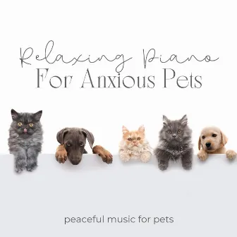 Relaxing Piano For Anxious Pets by Peaceful Music For Pets