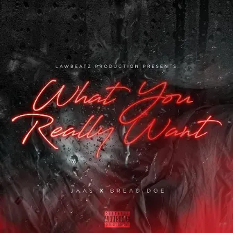 What You Really Want by LawBeatz