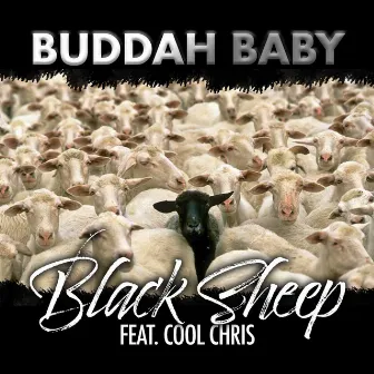 Black Sheep by Buddah Baby