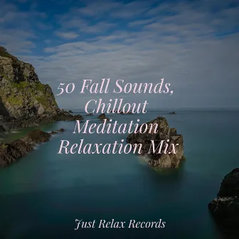 50 Fall Sounds, Chillout Meditation Relaxation Mix by Study Hard