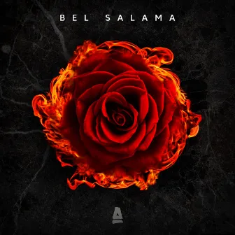 Bel Salama by Sleiman