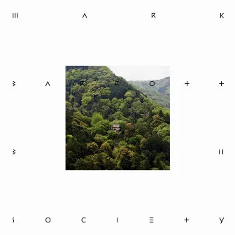 Bush Society by Mark Barrott