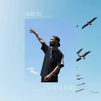 Voo Livre by Shess