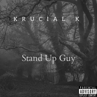 Stand Up Guy by Krucial K