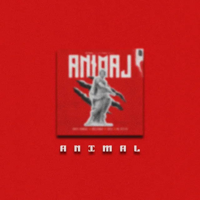 Animal